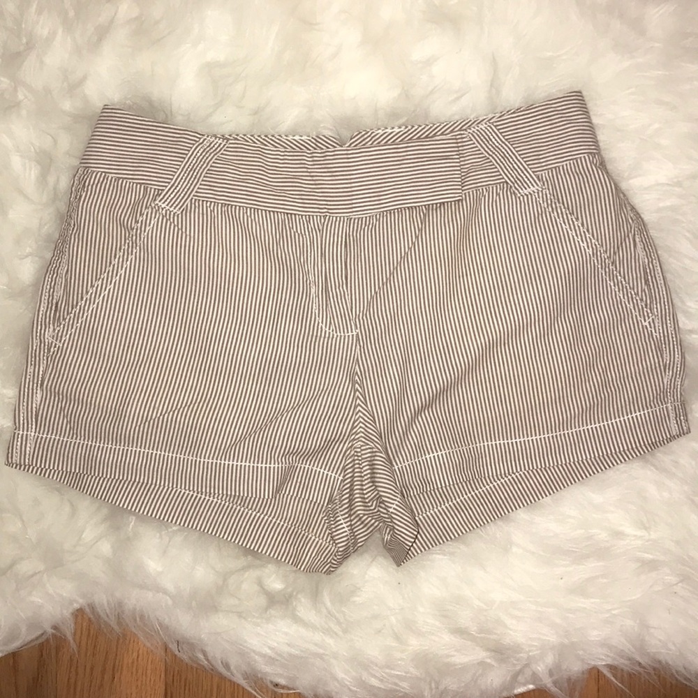 J.Crew Shorts